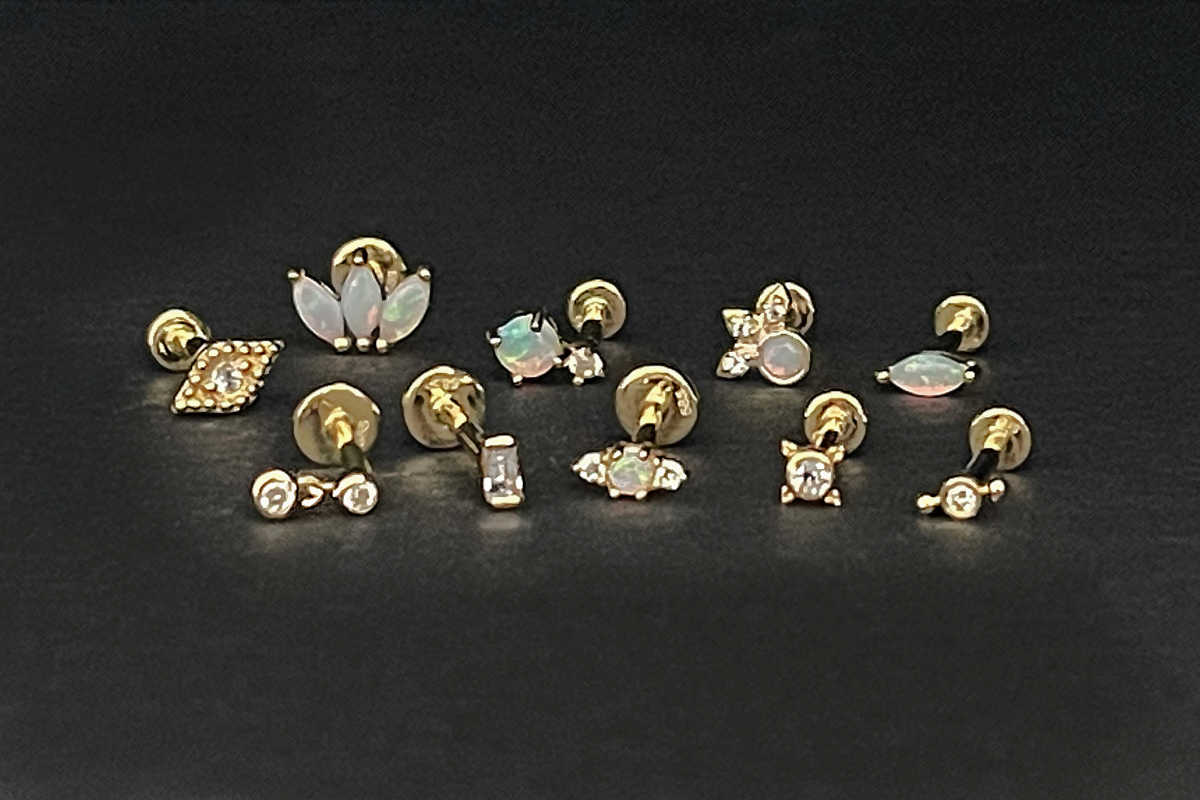 Gold Flat Screw Back Stud Earring Collection | Helix Tragus Cartilage Conch | Two of Most